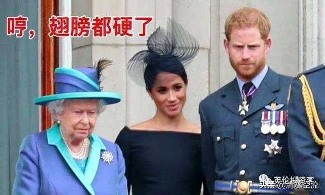 哈里王子夫妇退出王室是放弃王位继承权吗？还享受王室待遇吗？