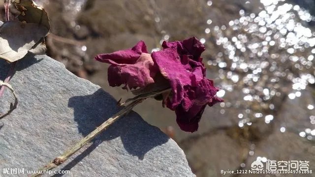 宋慧乔回应婚变，这个年代，大龄剩女、剩男们，还能相信爱情吗？