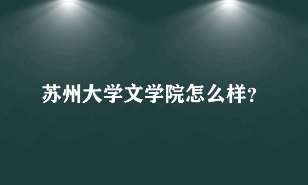 苏州大学文学院怎么样？