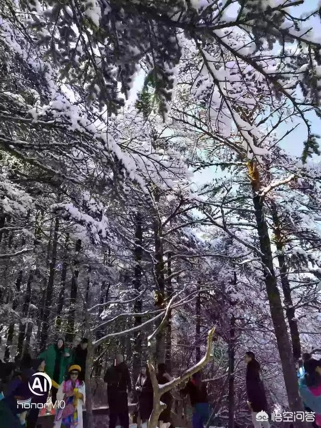 求峨眉山一日游最佳攻略？