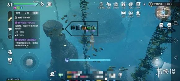 《天谕手游》鱼类图鉴大全 沉船附近鱼类位置一览