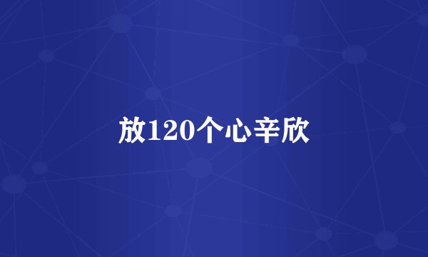 放120个心辛欣