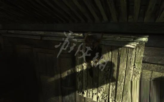 《古墓丽影9》古墓攻略支线古墓攻略 支线古墓图文流程