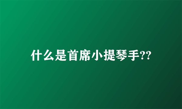 什么是首席小提琴手??