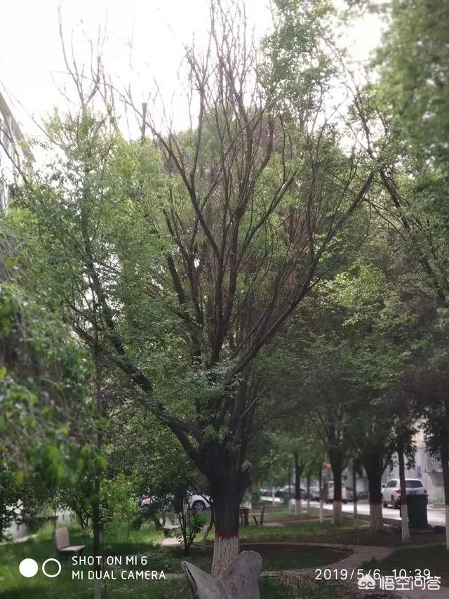 说一句祝福妈妈的话，是什么？