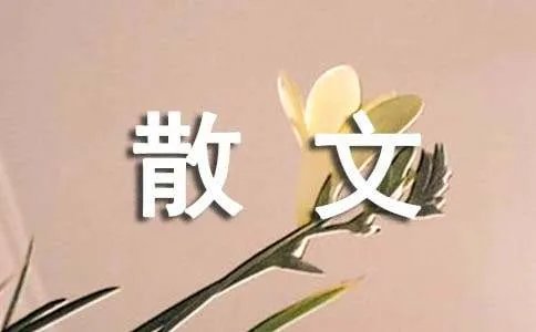 花开花落花满天散文