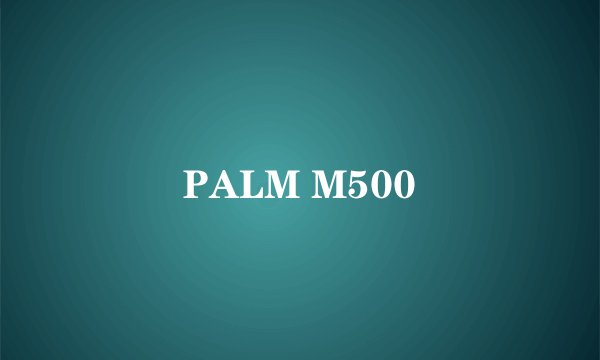 PALM M500