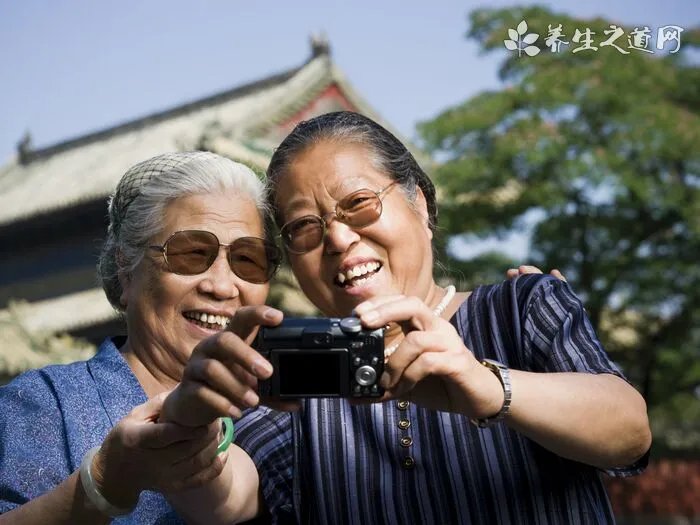 金毛寻回犬掉毛程度，这些说法并不夸张