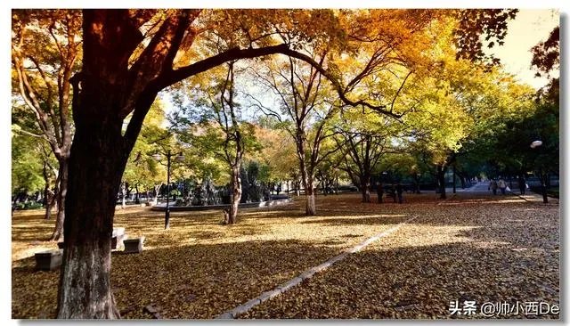 武汉大学通知本科生5.25线上答辩，是不是意味着武汉市的大学这学期不会开学了？