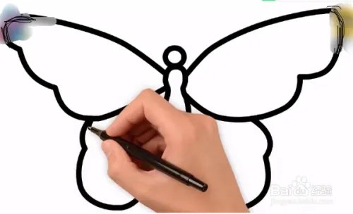 简笔画蝴蝶图片大全 彩色