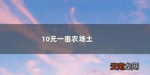 10元一亩农场土地出租主要是租在昭通周边 10元一亩农场土地出租