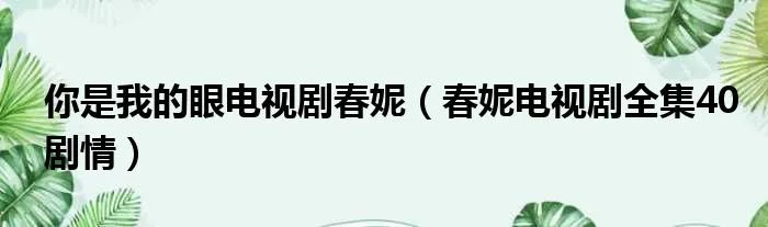 你是我的眼电视剧春妮（春妮电视剧全集40剧情）