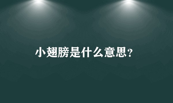 小翅膀是什么意思？