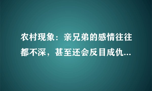 农村现象：亲兄弟的感情往往都不深，甚至还会反目成仇是为何？