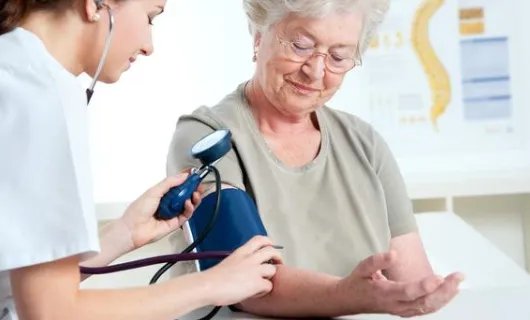 素食主义者对身体好吗