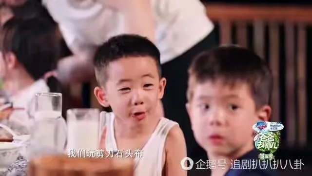 为什么这么多人喜欢Jasper？