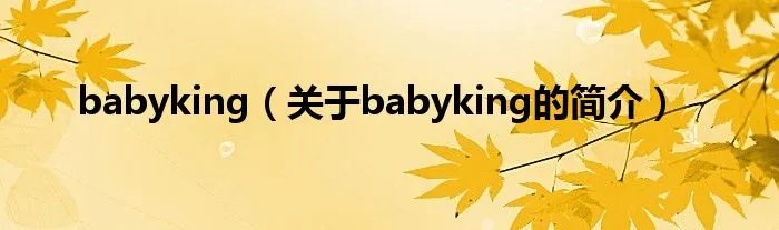 babyking（关于babyking的简介）