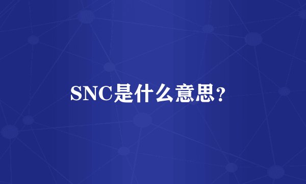 SNC是什么意思？