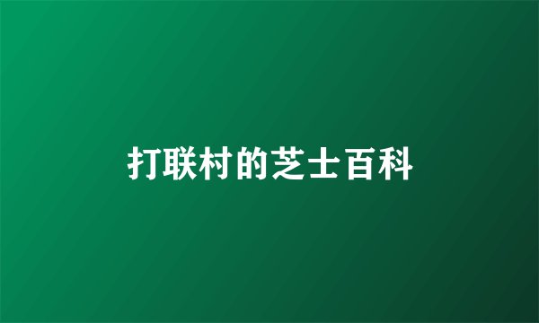 打联村的芝士百科