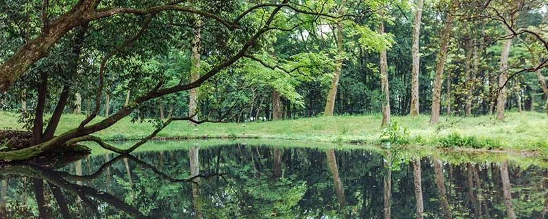 长沙植物园在长沙什么位置 湖南省森林植物园怎么去