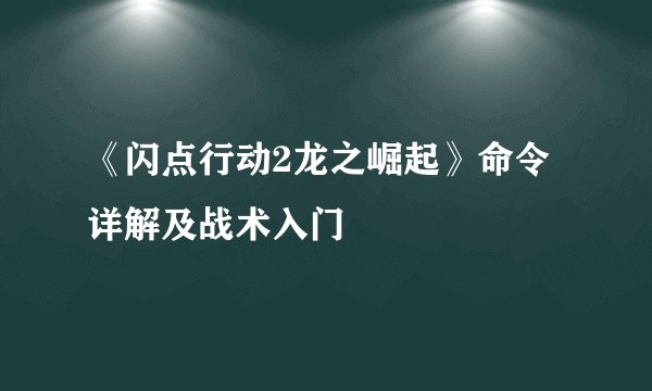 《闪点行动2龙之崛起》命令详解及战术入门