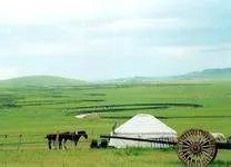 关于内蒙古草原的资料和图片