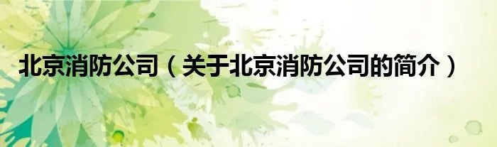 北京消防公司（关于北京消防公司的简介）