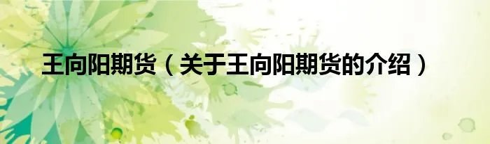 王向阳期货（关于王向阳期货的介绍）