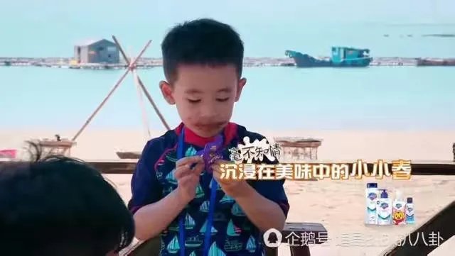 为什么这么多人喜欢Jasper？