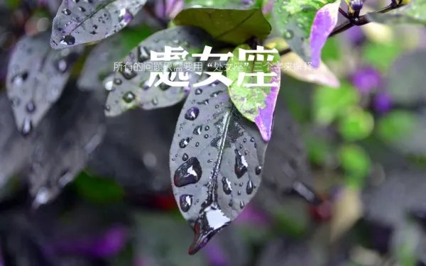 处女座为什么被黑？