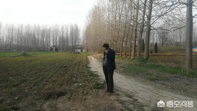 农村种植什么最合适？