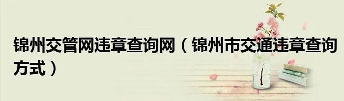 锦州交管网违章查询网（锦州市交通违章查询方式）