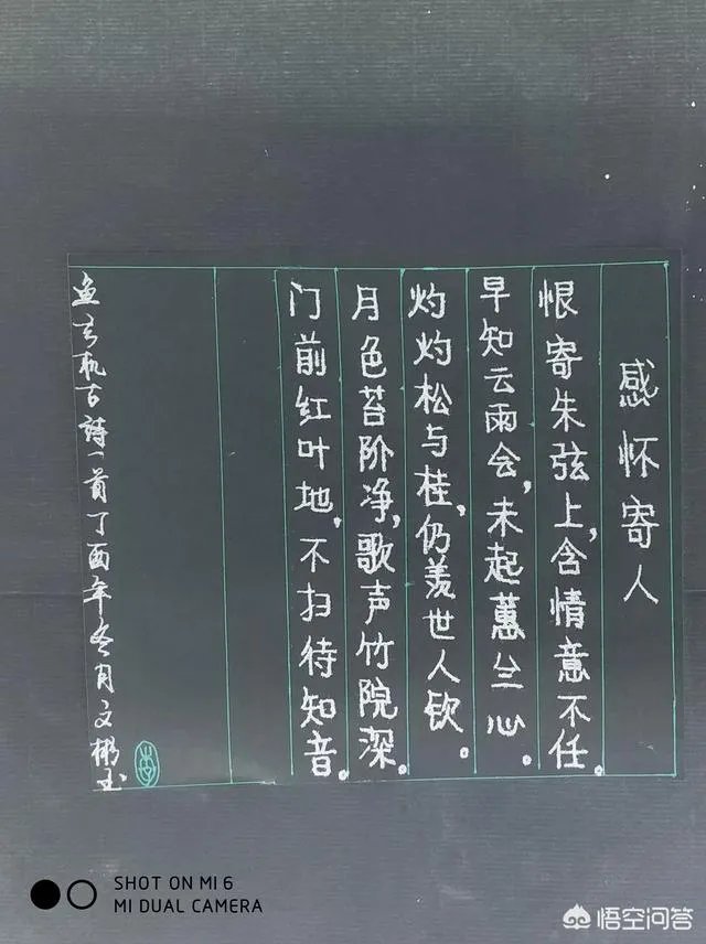 什么鱼最白痴？