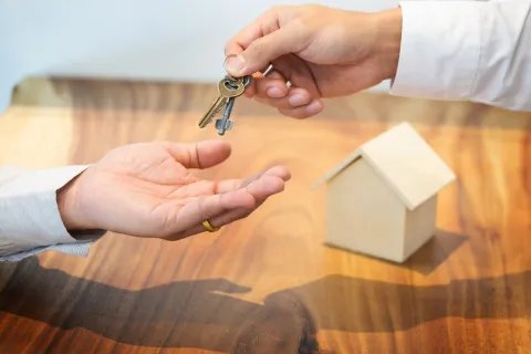 版权纠纷类型有哪些