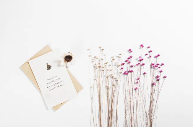 满天星的花语和寓意 送满天星代表什么