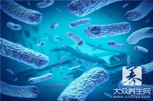 阳性和阴性是什么意思