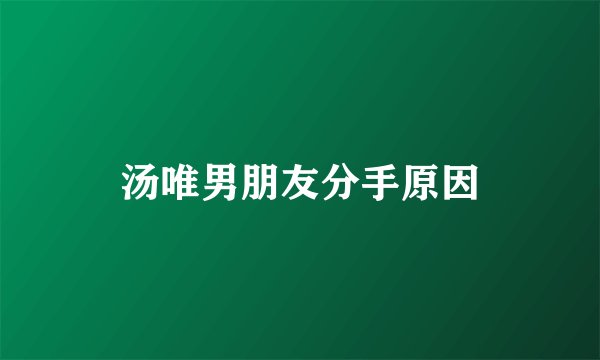 汤唯男朋友分手原因