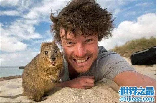 世界上最忧伤的狗，把悲伤写在了脸上 