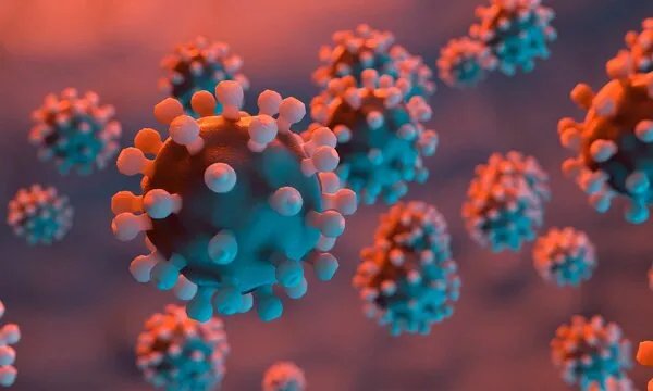 河北省6日新增51例新冠确诊病例  石家庄所有车辆及人员均不出市