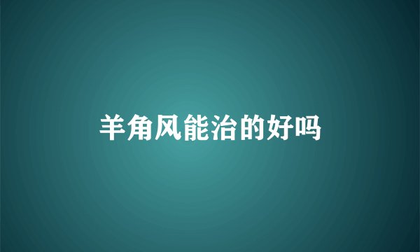羊角风能治的好吗