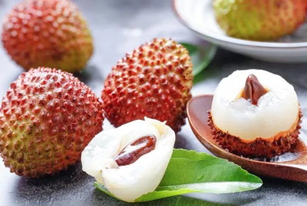 苏轼因为什么水果不辞长作岭南人 苏轼不辞长作岭南人是因为什么