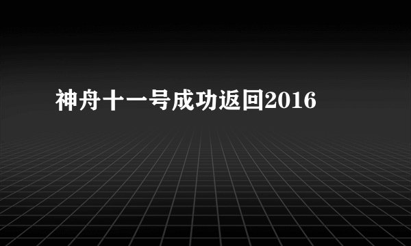 神舟十一号成功返回2016