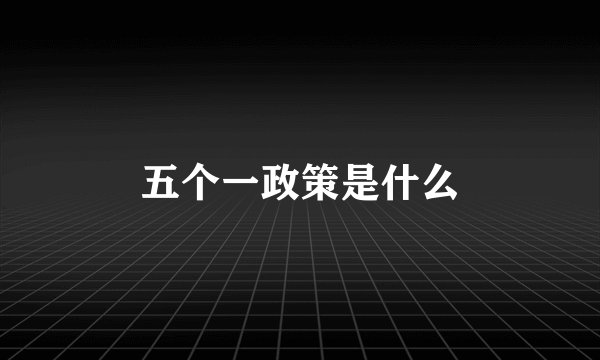 五个一政策是什么