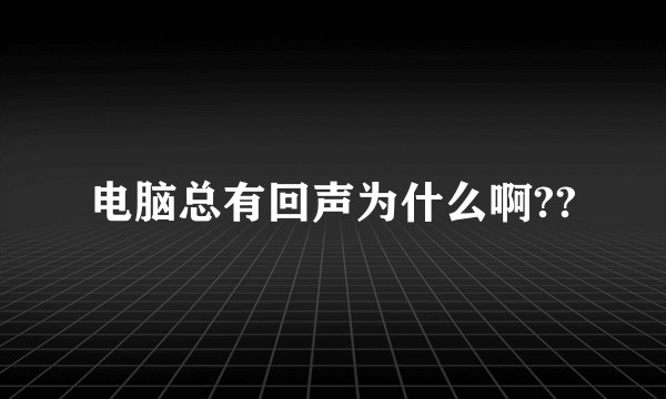 电脑总有回声为什么啊??