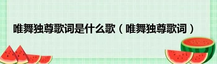 唯舞独尊歌词是什么歌（唯舞独尊歌词）