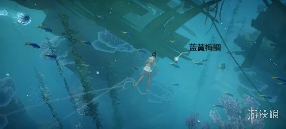 《天谕手游》鱼类图鉴大全 沉船附近鱼类位置一览