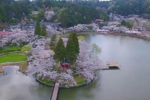 日本我孙子市在哪个县