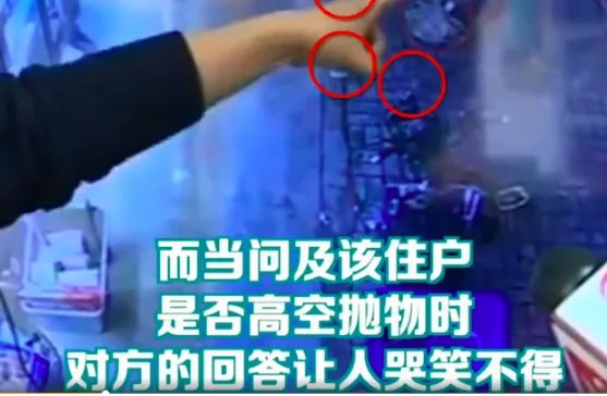 外卖连汤带水抛下楼称是狗干的