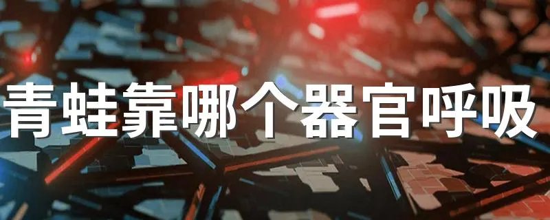 青蛙靠哪个器官呼吸 青蛙靠哪个器官呼吸的解析