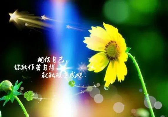 爱你不曾悲叶安安靳墨臣 爱你不曾悲全文免费阅读